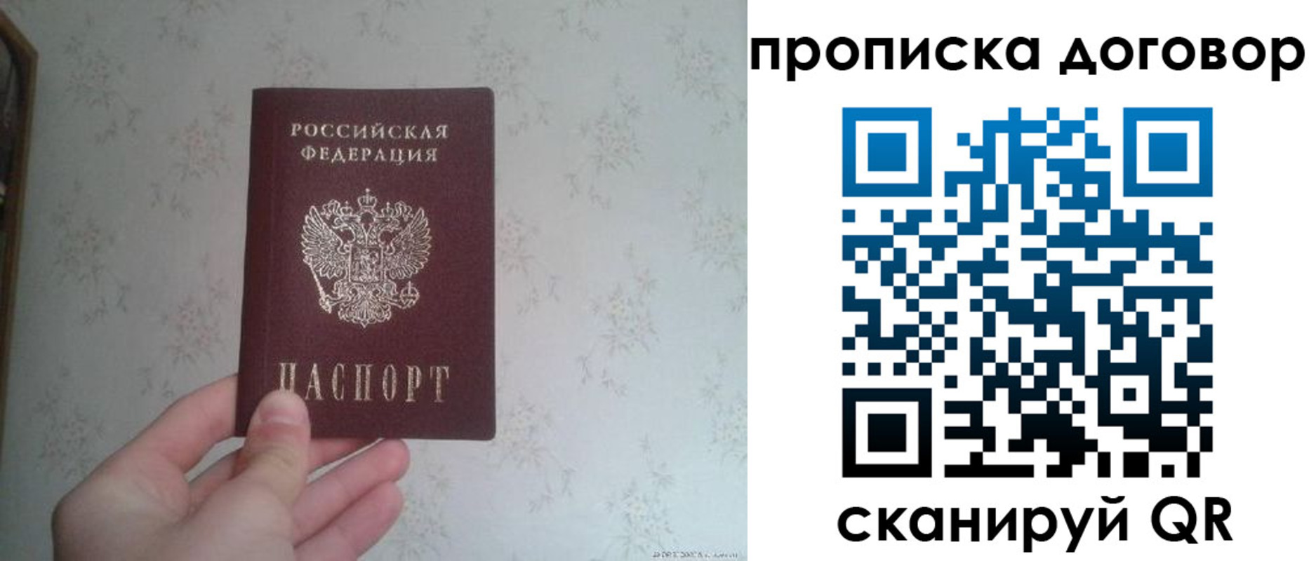 временная регистрация для школы в Мурманской области