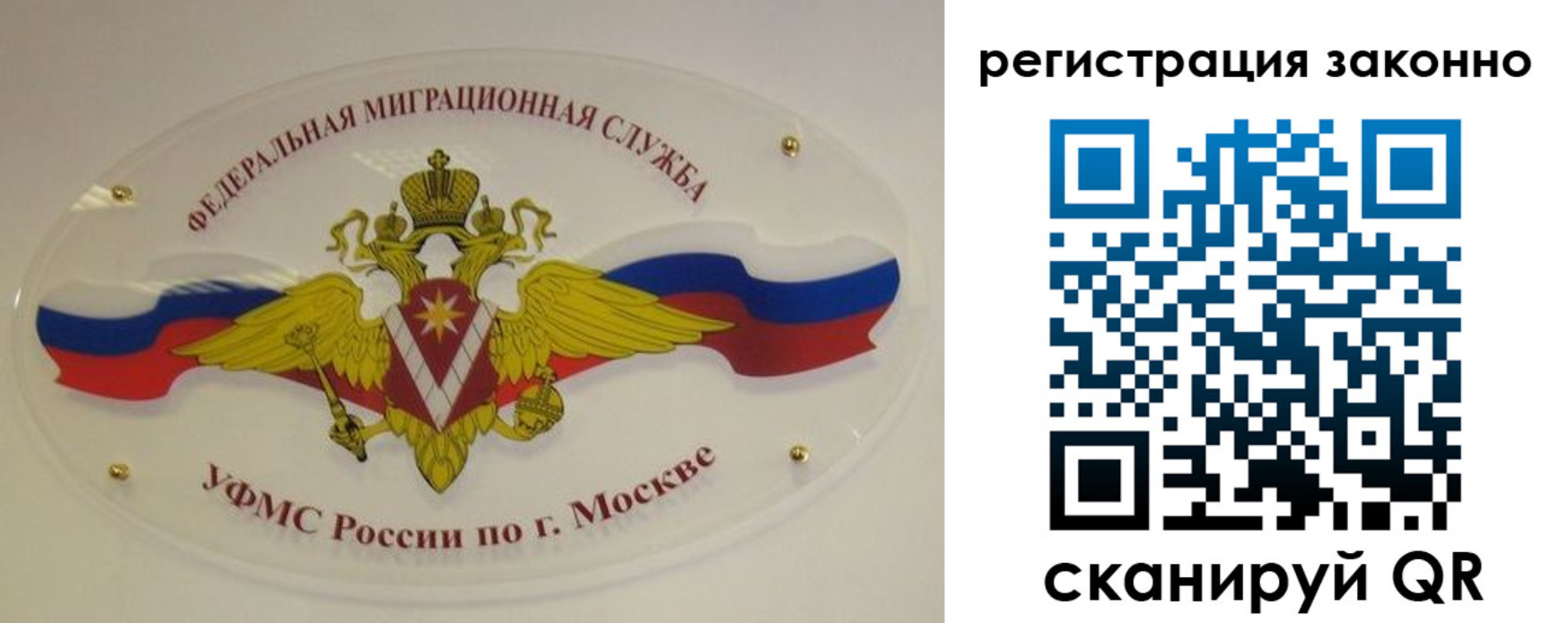 прописка для школы в Мурманской области